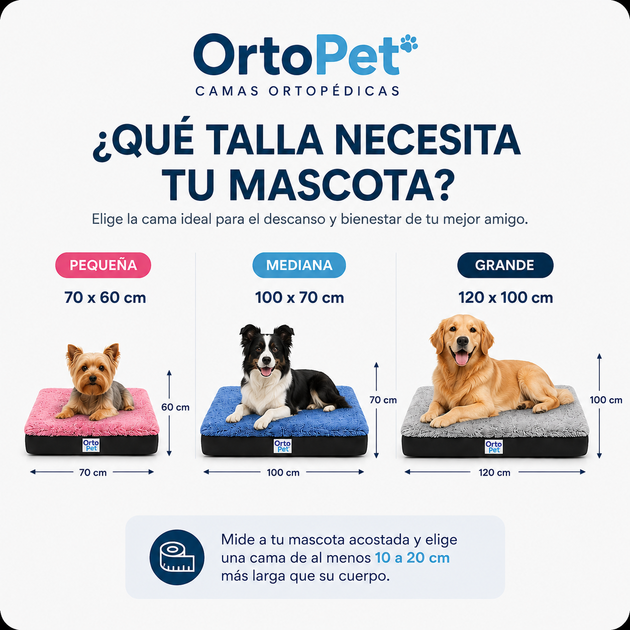 Cama Ortopedica Doble-Soporte